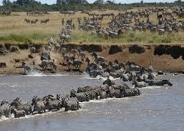 Maasai Mara Camping Tours