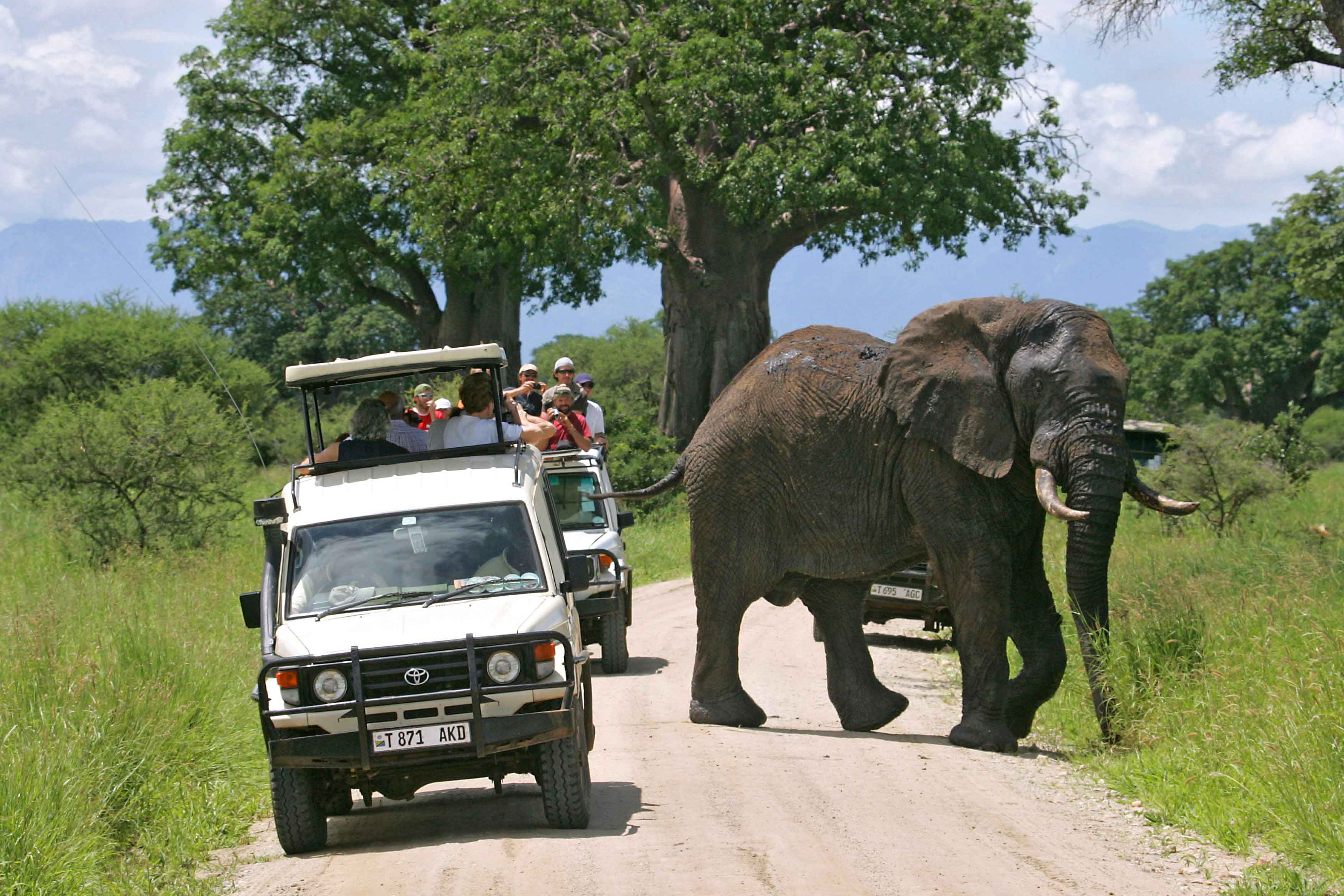 Kenya Budget Safaris